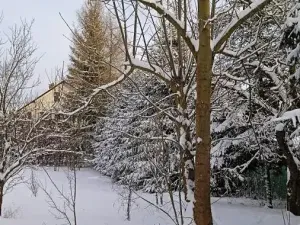 Prodej pozemku pro bydlení, Meziměstí, 2212 m2