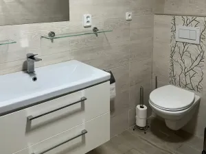 Prodej ubytování, Bartošovice v Orlických horách, 500 m2