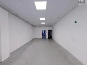 Pronájem výrobních prostor, Teplice, Pražská, 351 m2