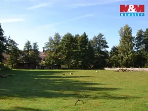 Prodej výrobních prostor, Miletín, Lhotova, 22000 m2