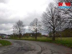 Prodej louky, Náchod - Běloves, 20495 m2