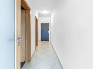 Pronájem bytu 1+kk, Družec, Na Maninách, 41 m2