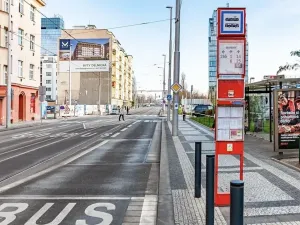 Pronájem bytu 1+kk, Družec, Na Maninách, 41 m2