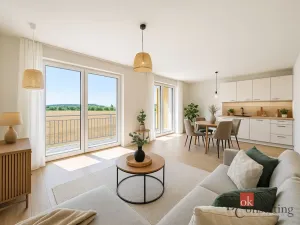 Prodej bytu 4+kk, Plzeň - Litice, 100 m2