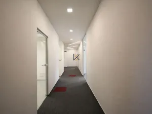 Pronájem kanceláře, Praha, Lihovarská, 368 m2