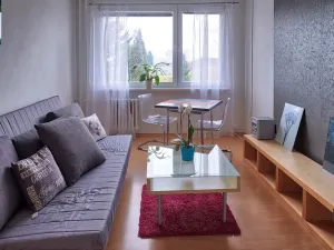 Pronájem bytu 2+kk, Praha - Chodov, Nechvílova, 54 m2