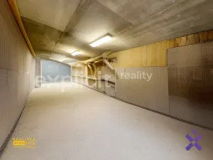 Prodej výrobních prostor, Kateřinice, 500 m2