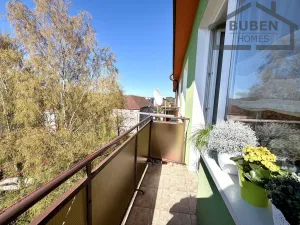 Prodej bytu 3+1, Tachov, Školní, 59 m2