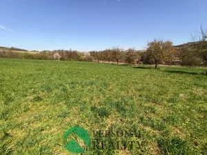 Prodej pole, Dolní Habartice, 6000 m2