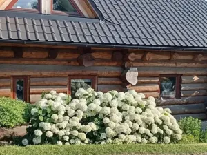 Prodej rodinného domu, Lešná - Perná, 150 m2