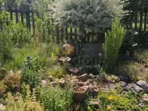 Prodej zahrady, Žlutice, Smetanova, 569 m2