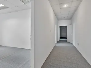 Prodej komerční nemovitosti, Liberec, Široká, 122 m2