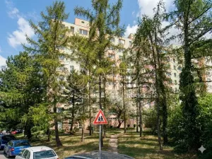 Prodej bytu 1+kk, Praha - Chodov, Brodského, 31 m2