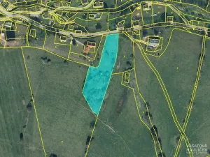 Prodej komerčního pozemku, Bartošovice v Orlických horách, 7647 m2