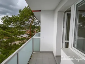 Pronájem bytu 1+1, Brno, Ječná, 37 m2