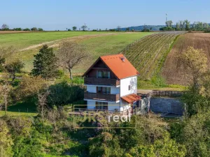 Prodej apartmánu, Strachotín, Sklepní, 160 m2