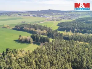 Prodej lesa, Losiná, 2645 m2