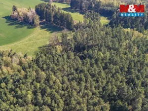 Prodej lesa, Losiná, 2645 m2