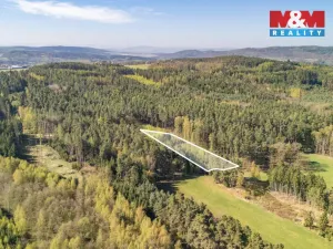 Prodej lesa, Losiná, 2645 m2