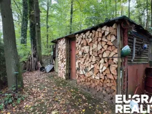 Prodej chaty, Nová Ves, 45 m2