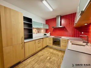 Pronájem bytu 2+kk, Brno - Lesná, Haškova, 80 m2