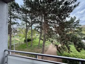 Pronájem bytu 2+kk, Brno - Lesná, Haškova, 80 m2