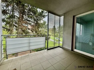 Pronájem bytu 2+kk, Brno - Lesná, Haškova, 80 m2