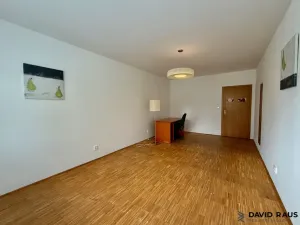 Pronájem bytu 2+kk, Brno - Lesná, Haškova, 80 m2
