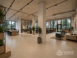 Pronájem obchodního prostoru, Sokolov, Boženy Němcové, 350 m2