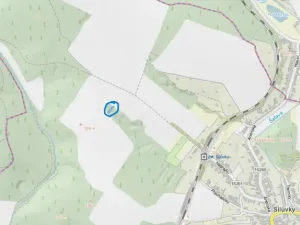 Prodej lesa, Silůvky, 462 m2