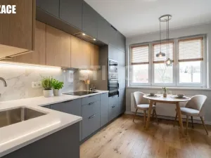 Prodej rodinného domu, Budišov nad Budišovkou, Československé armády, 238 m2