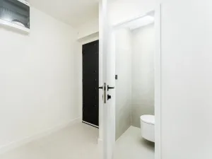 Prodej bytu 2+kk, Praha - Holešovice, U parního mlýna, 46 m2