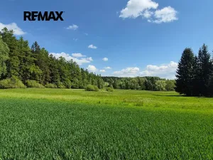 Prodej pozemku pro bydlení, Borová, 5776 m2