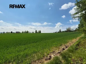 Prodej pozemku pro bydlení, Borová, 7429 m2