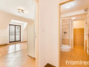 Pronájem bytu 4+kk, Brno, Starobrněnská, 68 m2