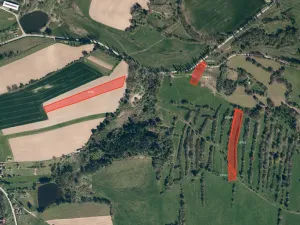 Prodej pole, Nový Rychnov, 39405 m2