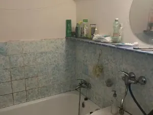 Prodej bytu 1+1, Zlín - Příluky, Dřevnická, 31 m2