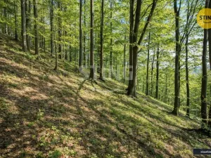 Prodej chaty, Komorní Lhotka, 62 m2