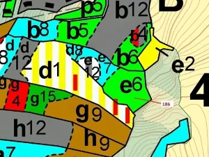 Dražba lesa, Zálezly, 4542 m2