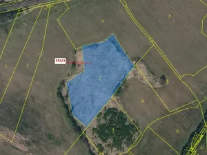 Dražba lesa, Počátky, 9119 m2