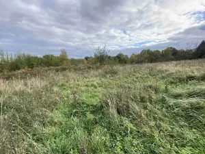 Dražba pozemku pro bydlení, Javorník, 1651 m2