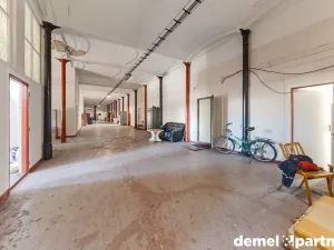 Prodej výrobních prostor, Světlá Hora - Světlá, 6500 m2