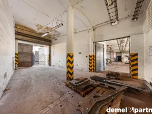 Prodej výrobních prostor, Světlá Hora - Světlá, 6500 m2