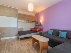 Prodej bytu 1+1, Olomouc - Nová Ulice, Hraniční, 34 m2