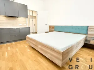 Prodej bytu 1+kk, Praha - Nové Město, Tyršova, 23 m2