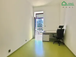 Pronájem bytu 3+kk, Brno, Chládkova, 80 m2