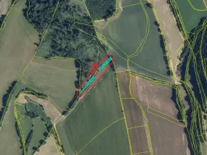 Prodej podílu lesa, Dlouhomilov, 1463 m2