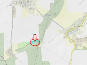 Prodej lesa, Vysoké Mýto, 5791 m2