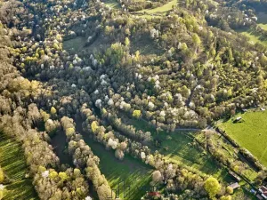 Prodej pozemku pro bydlení, Okounov, 13326 m2