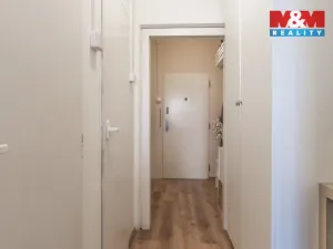 Prodej bytu 1+kk, Praha - Braník, Nad lesním divadlem, 27 m2